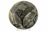 Polished, Septarian Geode Sphere - Madagascar #230402-1